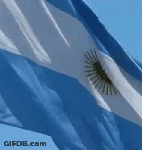 A Blue And White Flag With A Gold Sun On It GIF
