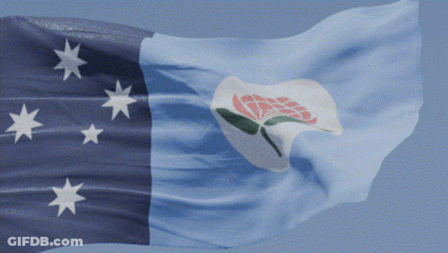 A Blue And White Flag With White Stars And A Pink Flower On It GIF