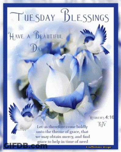 A Blue And White Flower With The Words Tuesday Blessings Written On It GIF