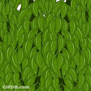 A Blue And White Penguin Peeking Out From Behind A Tree GIF