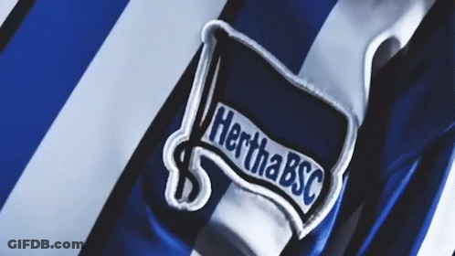 A Blue And White Striped Shirt With A Patch That Says Hertha Bsc On It GIF