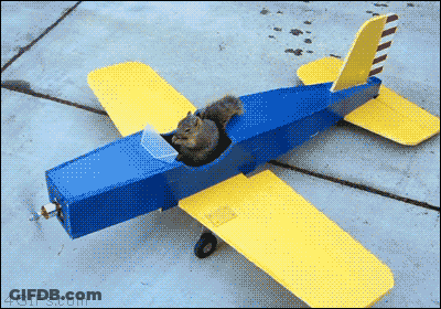 A Blue And Yellow Airplane With A Squirrel Sitting In The Cockpit GIF