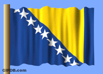A Blue And Yellow Flag With White Stars On It Is Waving In The Wind GIF