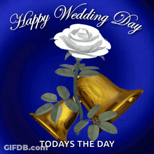 A Blue Background With A White Rose And Gold Bells And The Words Happy Wedding Day Todays The Day GIF
