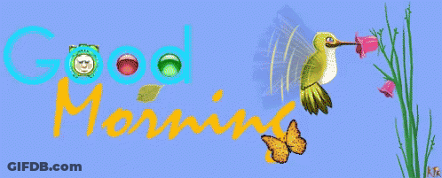 A Blue Background With The Words Good Morning And A Bird GIF