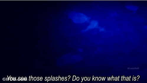 A Blue Background With The Words " You See Those Splashes Do You Know What That Is " On It GIF