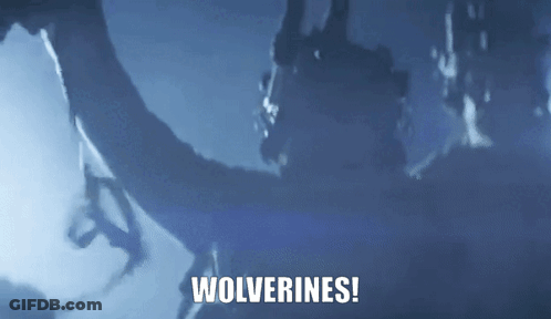 A Blue Background With Wolverines Written In White GIF