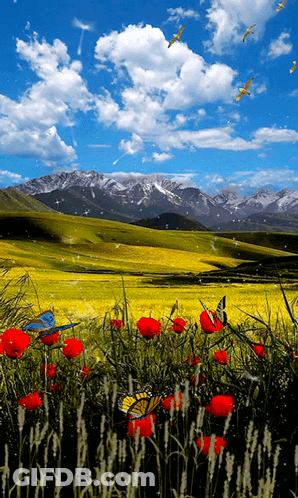 A Blue Bird Sits In A Field Of Red Flowers GIF