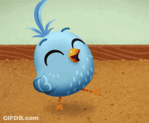 A Blue Bird With A Yellow Beak Is Standing On One Leg GIF