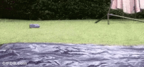 A Blue Bottle Is Sitting On The Grass Next To A Pink Towel GIF