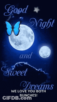 A Blue Butterfly Is Flying In Front Of A Full Moon And Says Good Night And Sweet Dreams We Love You Both Bunches GIF