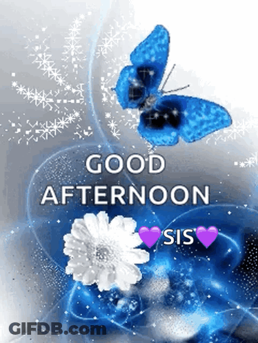 A Blue Butterfly Is Flying Over A Flower With The Words `` Good Afternoon Sis '' GIF