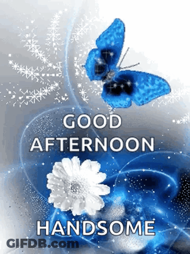 A Blue Butterfly Is Flying Over A White Flower With The Words `` Good Afternoon Handsome '' Below It . GIF