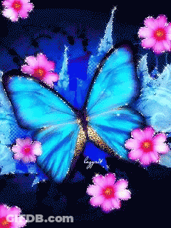 A Blue Butterfly Is Surrounded By Pink Flowers On A Black Background And The Butterfly 'S Wings Are Visible GIF