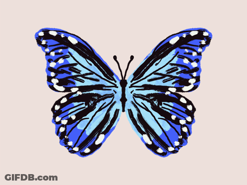 A Blue Butterfly With White Spots On The Wings GIF