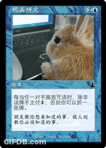A Blue Card With A Picture Of A Rabbit On It GIF