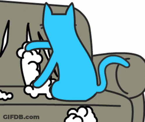 A Blue Cat Is Sitting On A Couch Next To A White Dog GIF