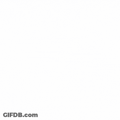 A Blue Circle With The Words " The Plaza Since 1965 " GIF