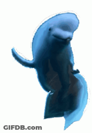A Blue Dolphin Is Swimming In The Water And Looking At The Camera GIF
