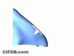 A Blue Flag With A White Star In The Middle GIF