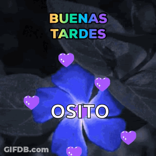 A Blue Flower Is Surrounded By Purple Hearts And The Words Osito GIF