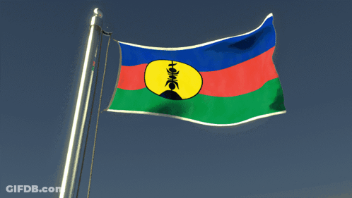 A Blue Red And Green Flag With A Yellow Circle With The Letter H On It GIF