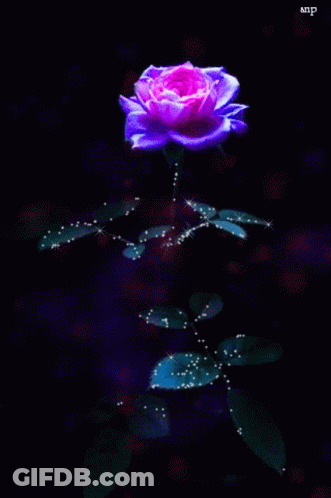A Blue Rose Is Glowing In The Dark With Sparkles On The Leaves GIF