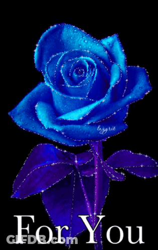 A Blue Rose Is On A Black Background With The Words For You Below It GIF