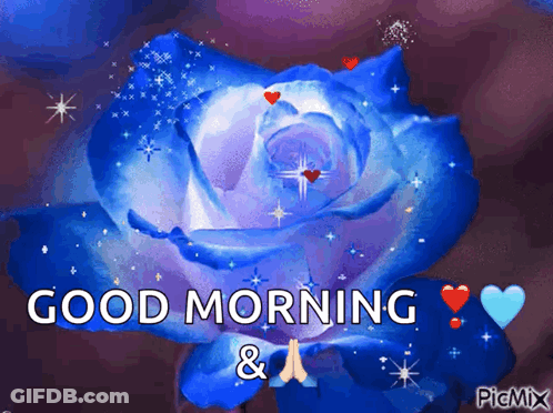 A Blue Rose Is Surrounded By Hearts And Stars And Says Good Morning GIF