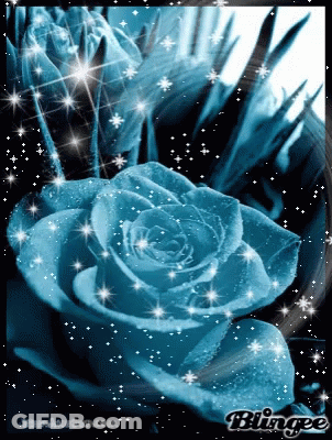 A Blue Rose Is Surrounded By Sparkles And Says Blingee GIF