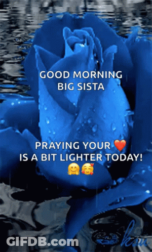 A Blue Rose With The Words Good Morning Big Sista Praying Your Is A Bit Lighter Today GIF