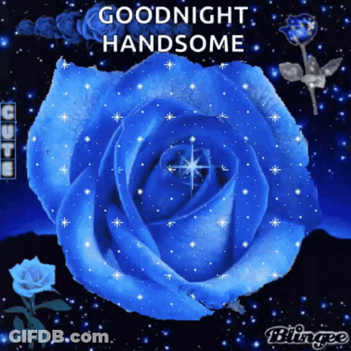 A Blue Rose With The Words " Goodnight Handsome " On It GIF