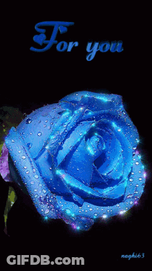 A Blue Rose With Water Drops And The Words " For You " GIF