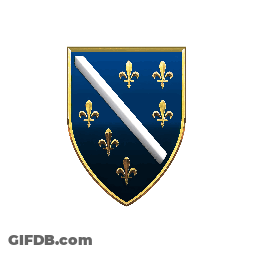 A Blue Shield With Gold Fleur De Lis And A White Line GIF