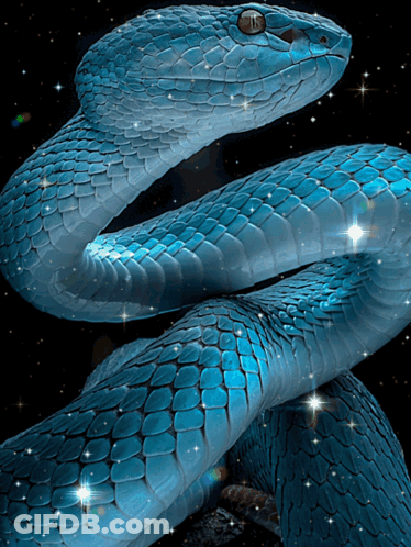 A Blue Snake Is Surrounded By Stars And Has The Letter T On Its Eye GIF