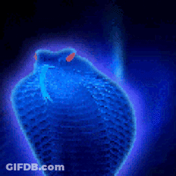 A Blue Snake With Red Eyes Is Surrounded By Blue Light GIF