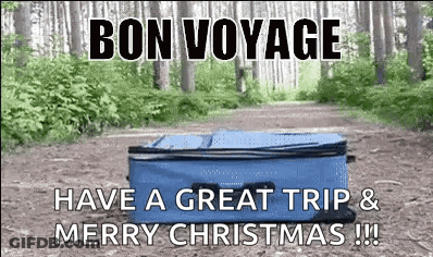 A Blue Suitcase Is On A Dirt Road In The Woods . GIF