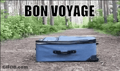 A Blue Suitcase Is Sitting On The Ground In The Middle Of A Forest With The Words `` Bon Voyage '' Written On It . GIF