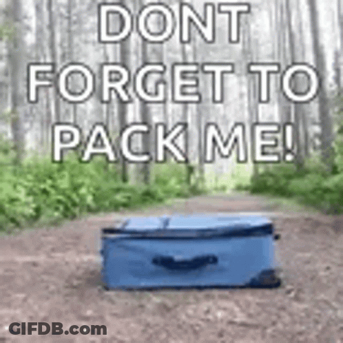 A Blue Suitcase Is Sitting On Top Of A Dirt Road In The Woods . GIF