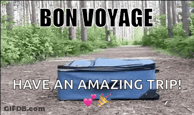 A Blue Suitcase With The Words Bon Voyage Have An Amazing Trip Written Above It GIF