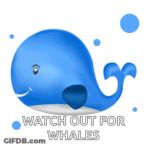 A Blue Whale With The Words Watch Out For Whales Under It GIF