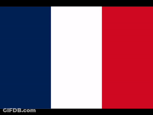 A Blue , White And Red Flag With A Black Background . GIF