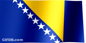 A Blue Yellow And White Flag With White Stars On It GIF
