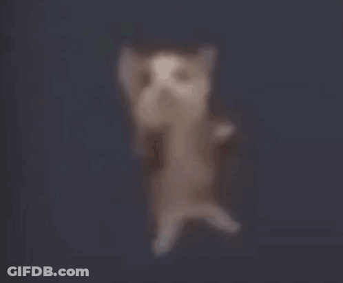 A Blurred Image Of A Bird Flying In The Air GIF