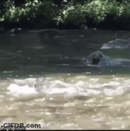 A Blurred Image Of A Body Of Water With The Words Imgflip.com At The Top GIF