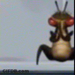 A Blurred Image Of A Bug With Red Eyes GIF