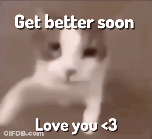 A Blurred Image Of A Cat With The Words Get Better Soon Love You < 3 GIF