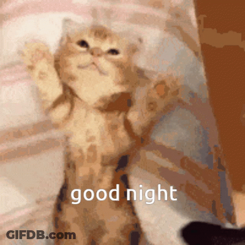 A Blurred Image Of A Cat With The Words " Good Night " On The Bottom GIF