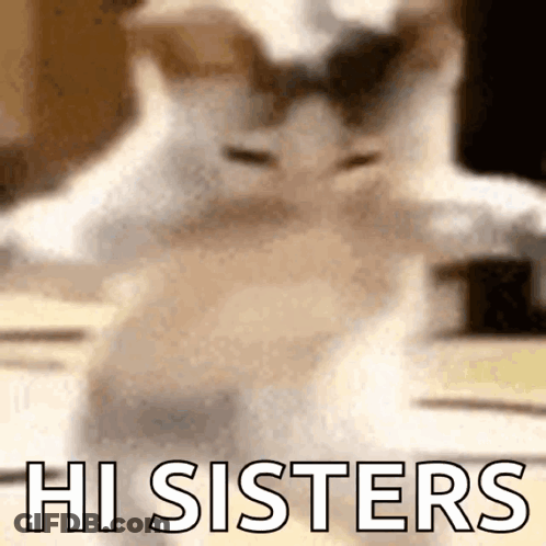 A Blurred Image Of A Cat With The Words Hi Sisters Written On The Bottom GIF
