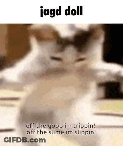 A Blurred Image Of A Cat With The Words Jagd Doll Above It GIF